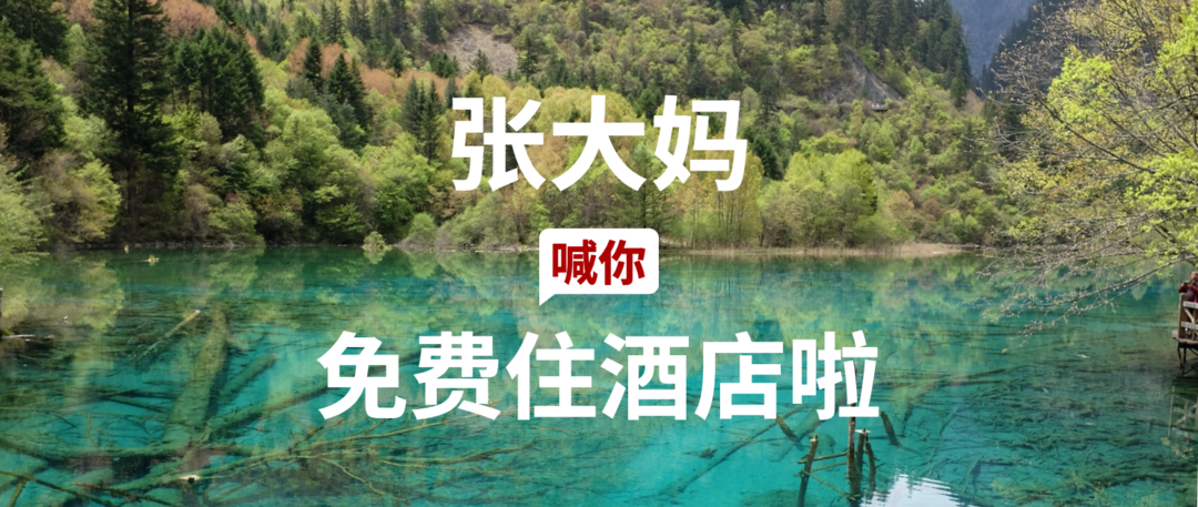 飘飘乎如遗世独立 羽化而登仙——第22期试吃试睡报告